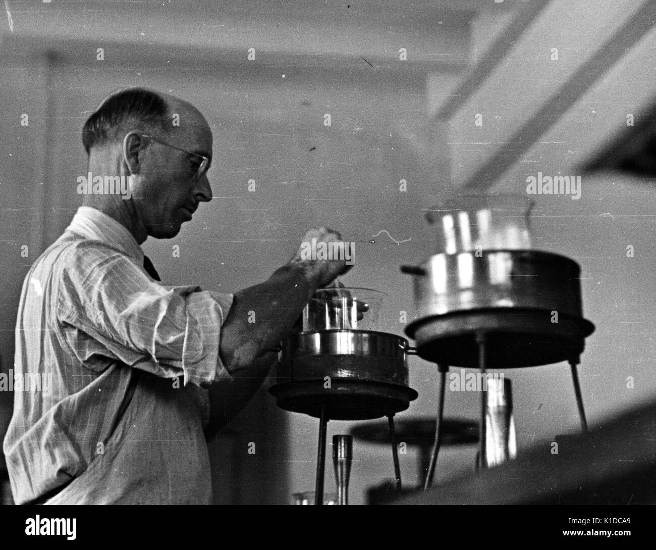 Scienziato che lavora con becher bollenti in un laboratorio di fermentazione, Prince Georges County, Beltsville, Maryland, 1935. Dalla Biblioteca pubblica di New York. Foto Stock
