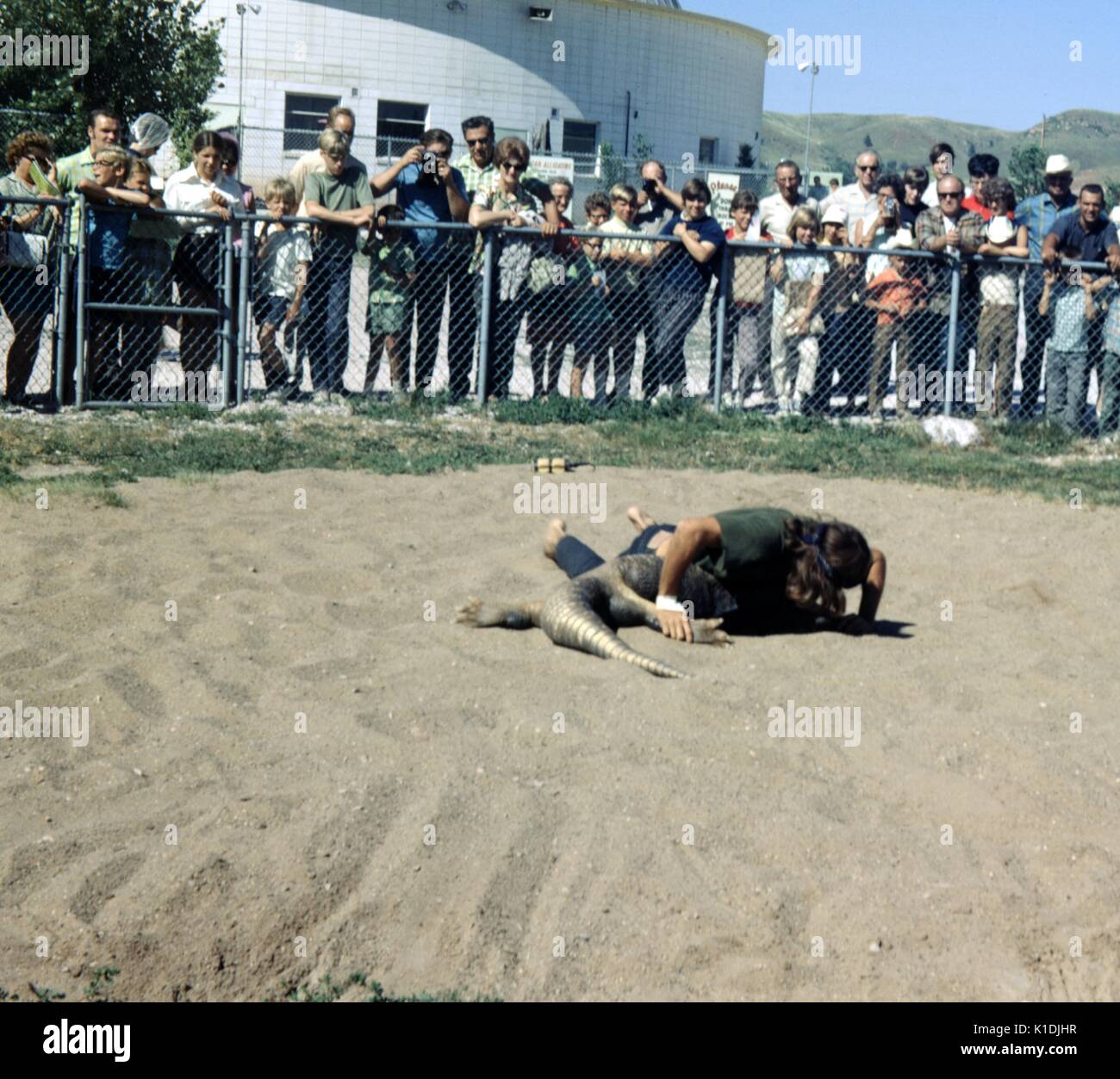 Attore wrestling un alligatore, con una folla cercando, in corrispondenza dei giardini del rettile Wild Animal Park, South Dakota, 1975. Foto Stock