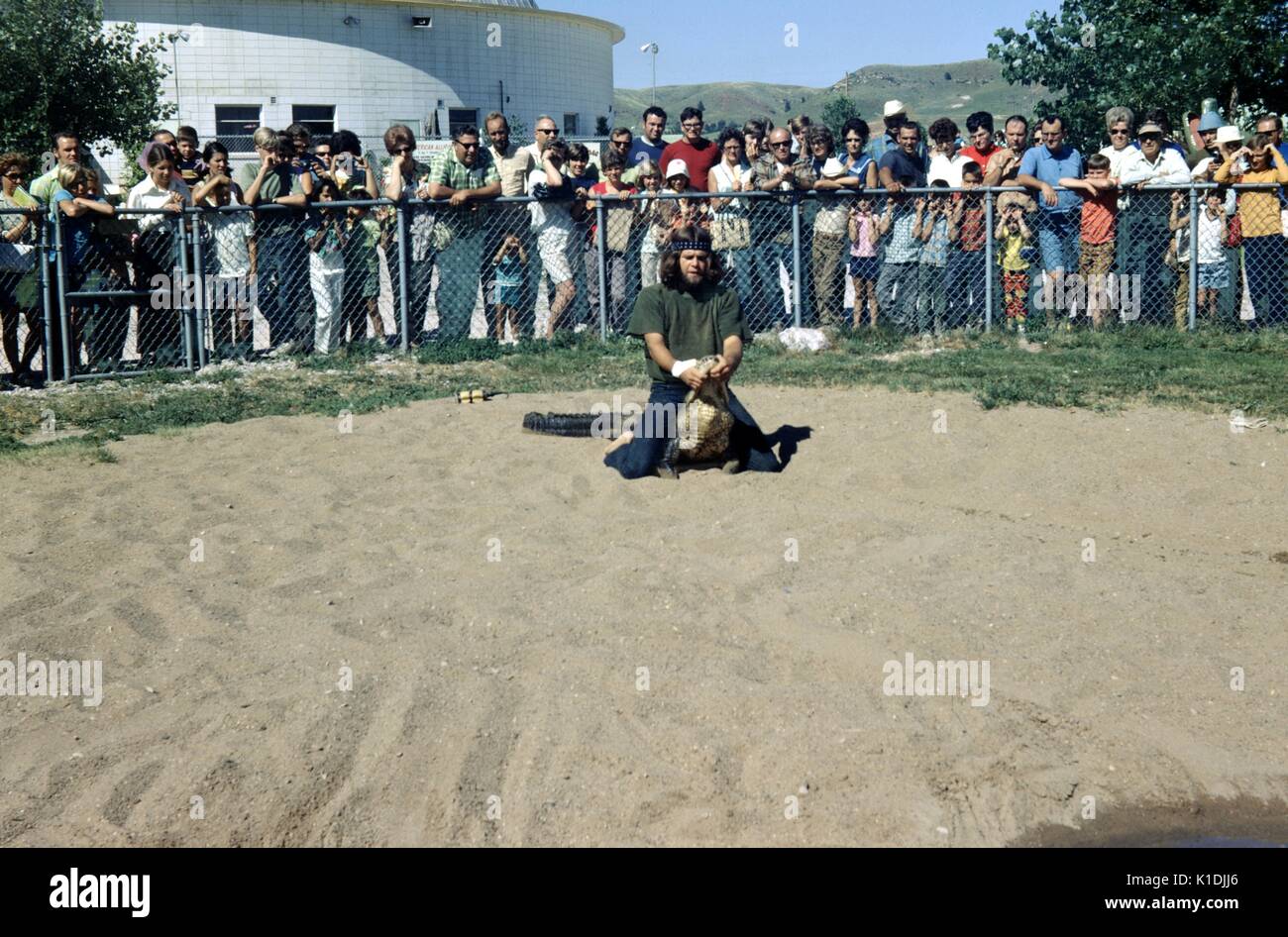 Esecuzione di cavallo e wrestling un alligatore, con una folla cercando, in corrispondenza dei giardini del rettile Wild Animal Park, South Dakota, 1975. Foto Stock