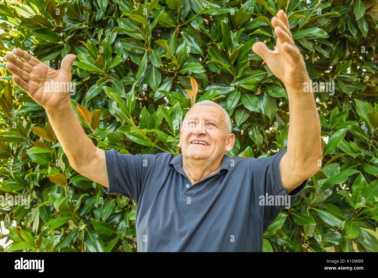 Il vecchio uomo i bracci di sollevamento per il cielo su foglie verdi sullo sfondo Foto Stock