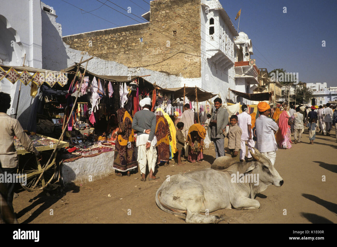 Mucca giacente in street nella zona di bazaar, Pushkar, Rajasthan, India Foto Stock