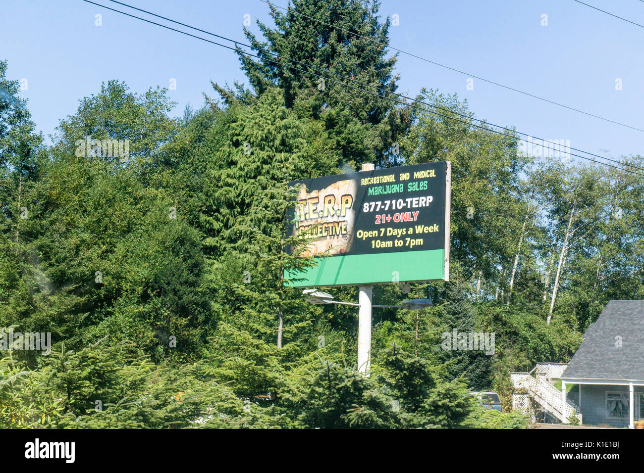 Tabellone sul ciglio della strada vicino alla città costiera Lincoln Oregon è la pubblicità per stato recentemente legalizzato officinali e ricreative del dispensario di Marijuana Foto Stock