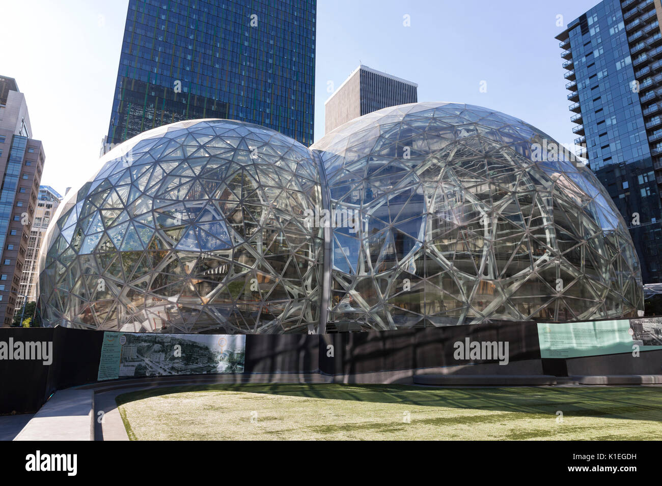 Seattle, Washington: Amazon sfere in costruzione presso l'Amazzonia Campus  urbano nel quartiere di Belltown. Le strutture geodetiche che ospiterà  ulteriori spazi per uffici, negozi al dettaglio e un giardino botanico,  sono pianificati
