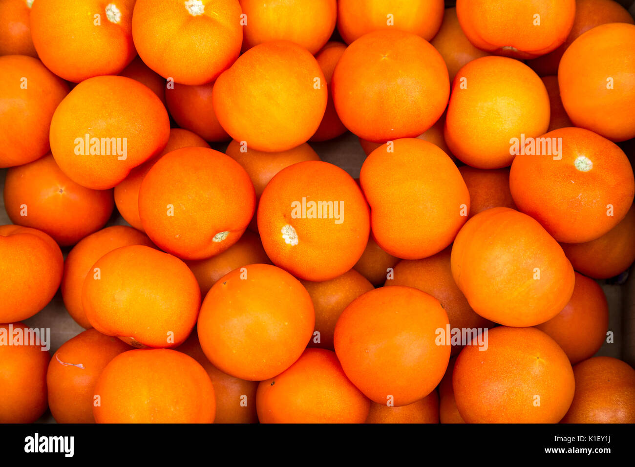 Willemstad, Curacao, Piccole Antille. Pomodori per la vendita nel mercato. Foto Stock