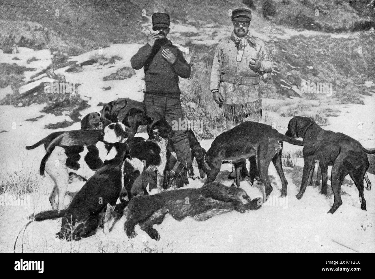 Theodore Roosevelt e un compagno di caccia pongono di fronte al primo cougar ucciso sulla loro battuta di caccia, un pack di cani da caccia li circonda, 1884. Foto Stock