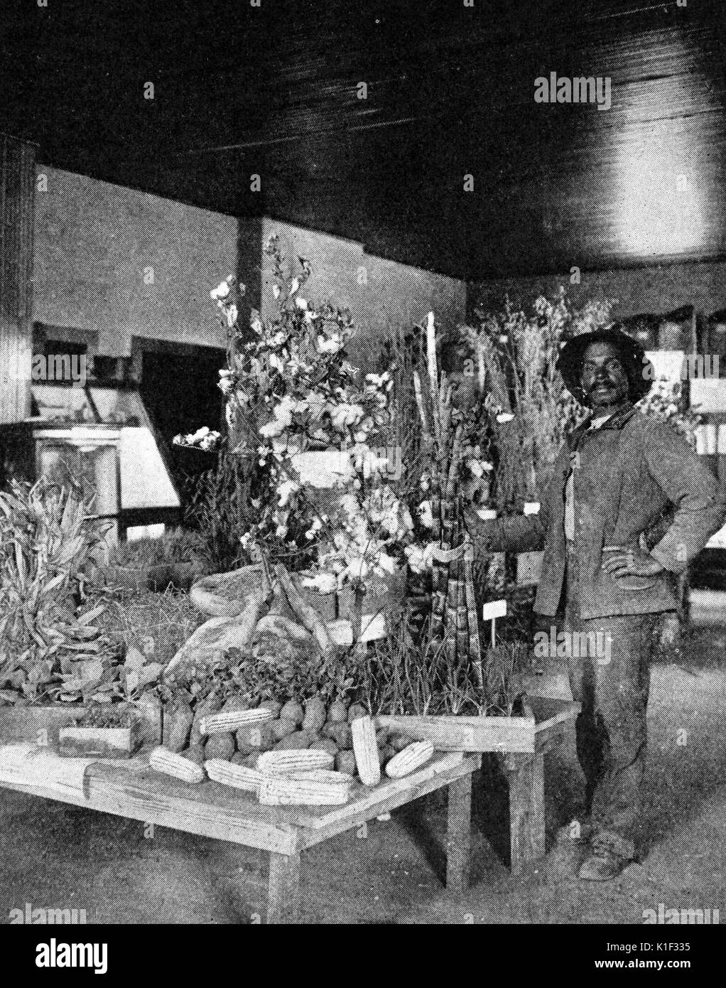 Afro-americano di agricoltore che presenta la sua produzione ad una fiera della contea, Alabama, 1890. Dalla Biblioteca Pubblica di New York. Foto Stock