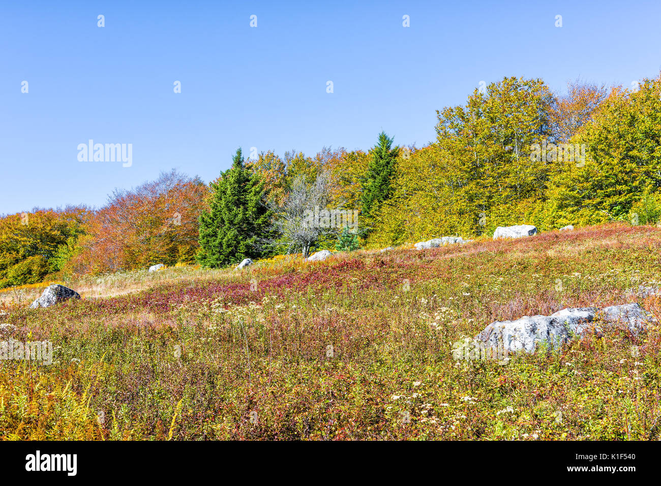 Paesaggio roccioso meadow hill in Dolly zolle, West Virginia in autunno Foto Stock