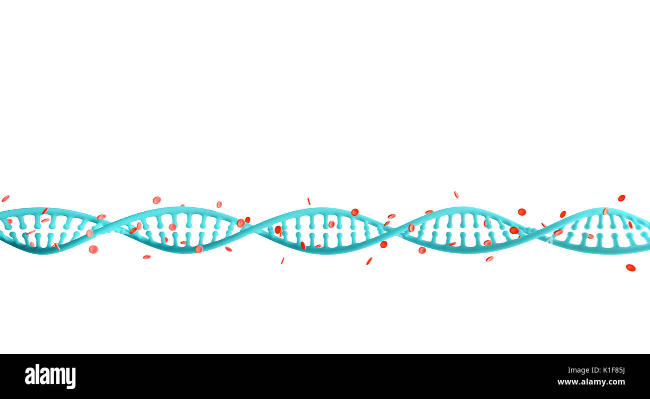 Filamenti di DNA con l'Emoglobina isolati su sfondo bianco Foto Stock
