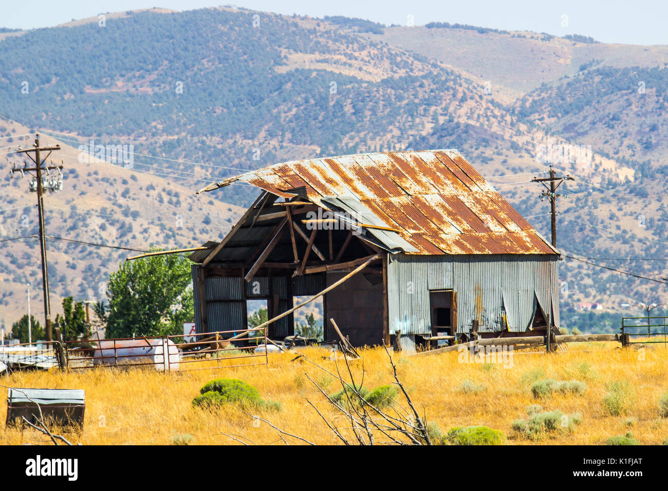 Rusty Tin Roof edificio cade a pezzi Foto Stock