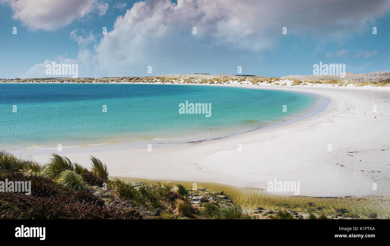 Di sabbia bianca spiaggia a mezzaluna di Yorke Bay su Est isola Falkland, Isole Falkland. Limpide acque turchesi e cielo blu con nuvole soffici. Foto Stock