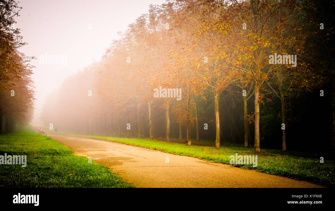 Parc de Saint-Cloud nella nebbia Foto Stock