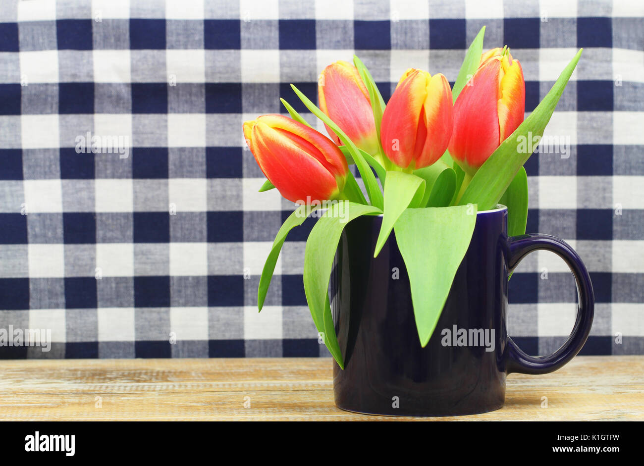 Tulipani colorati in blu navy mug con fondo a scacchi e spazio di copia Foto Stock