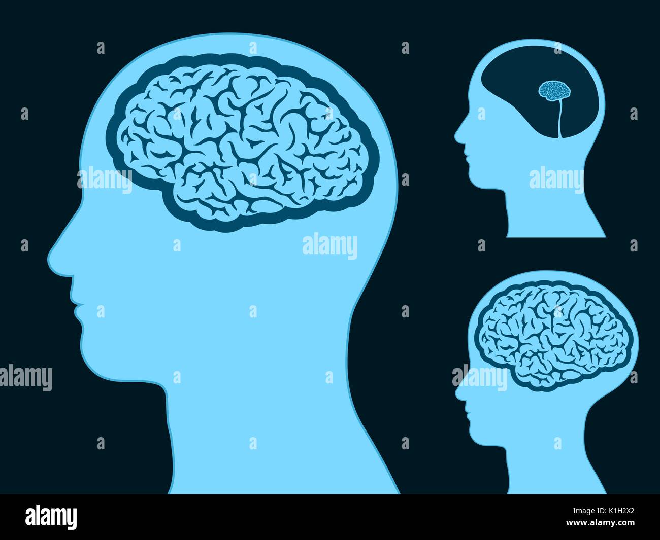 Testa di uomo silhouette con piccole e grandi cervello - illustrazione Illustrazione Vettoriale