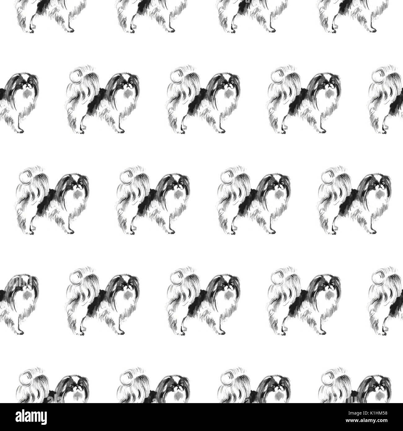 Modello senza cuciture con Pekingees cani, fatti a mano di pittura di inchiostro, isolato su sfondo bianco. Zodiaco cinese sfondo. Il design tessile. Foto Stock