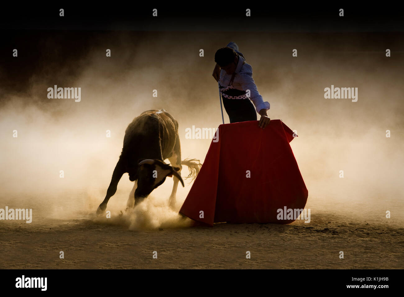 Toreador spagnolo combattendo una giovenca durante una serata estiva in un tentadero Foto Stock