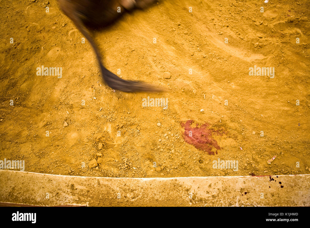 Il trascinamento di Bull è morto sulla sabbia della corrida lascia una traccia di sangue, Immagine concettuale Foto Stock
