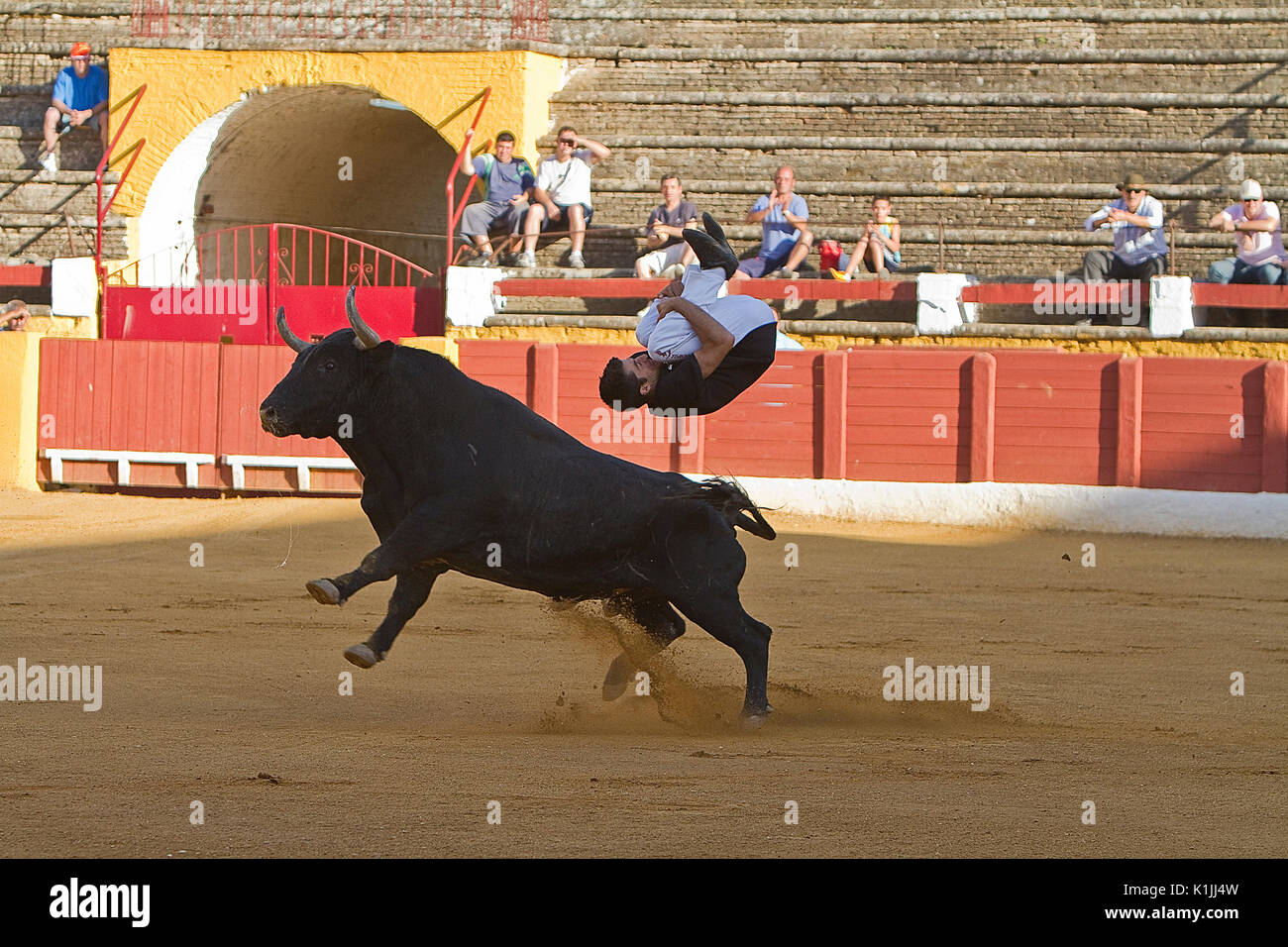 Lo spagnolo recortador eseguita con competenza piroette prima l'assalto di brave bull o giovenca come sono tagli, saltando o lato antitesi ho Foto Stock