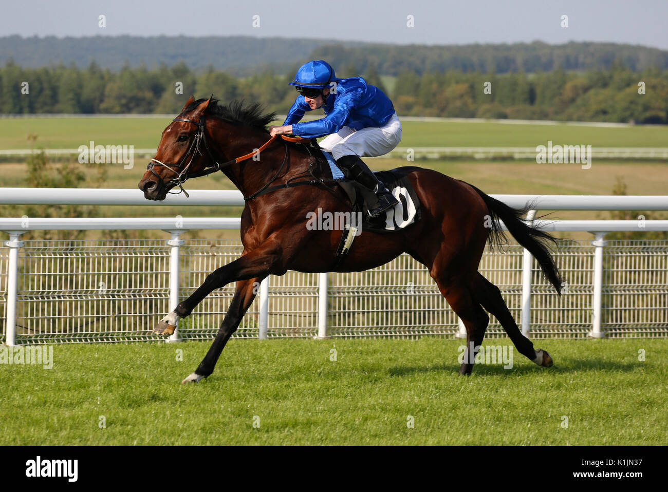 Il Cacciatore di montagna cavalcato da William Carson vince il Whiteley clinica picchetti di Handicap gara corsa a Goodwood Racecourse, Chicester. Foto Stock