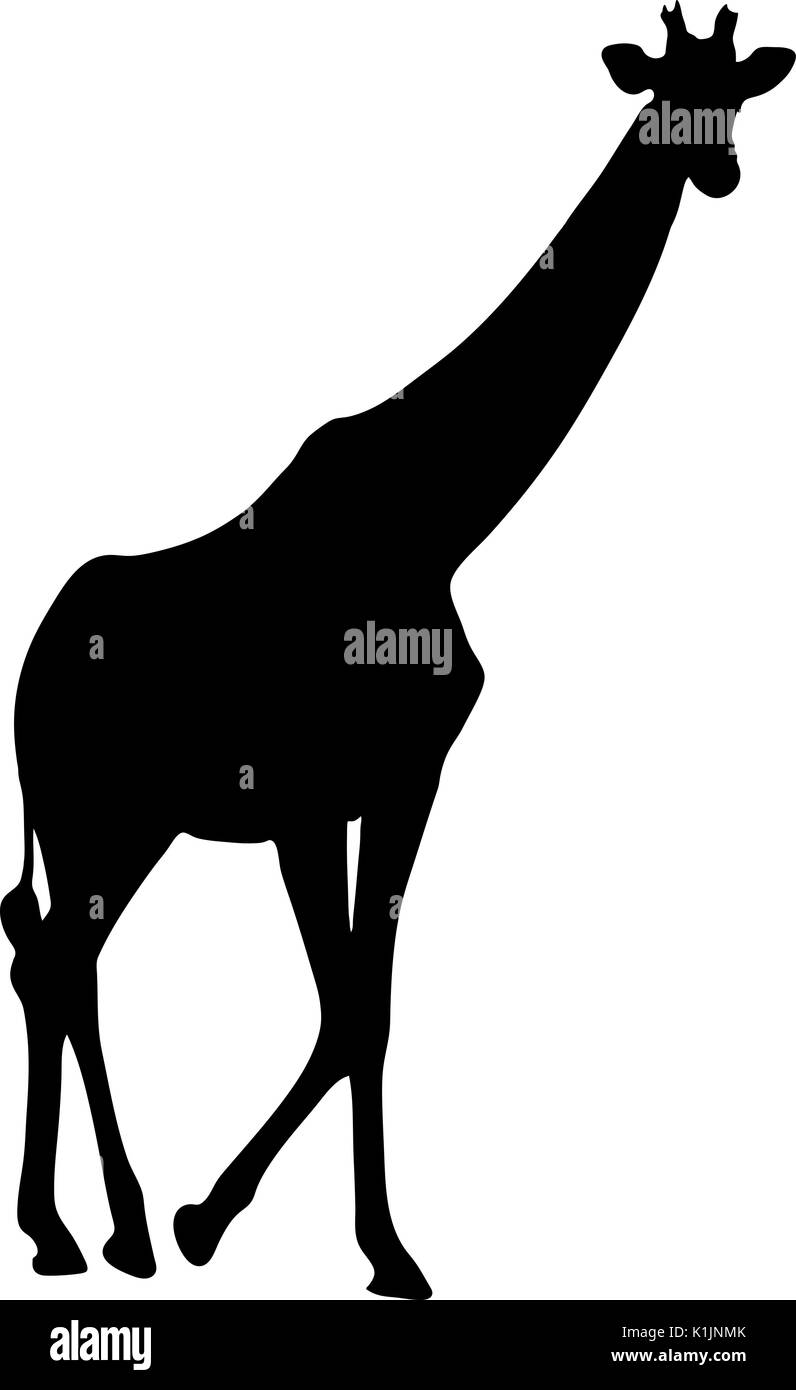 Vista la silhouette di una giraffa Illustrazione Vettoriale