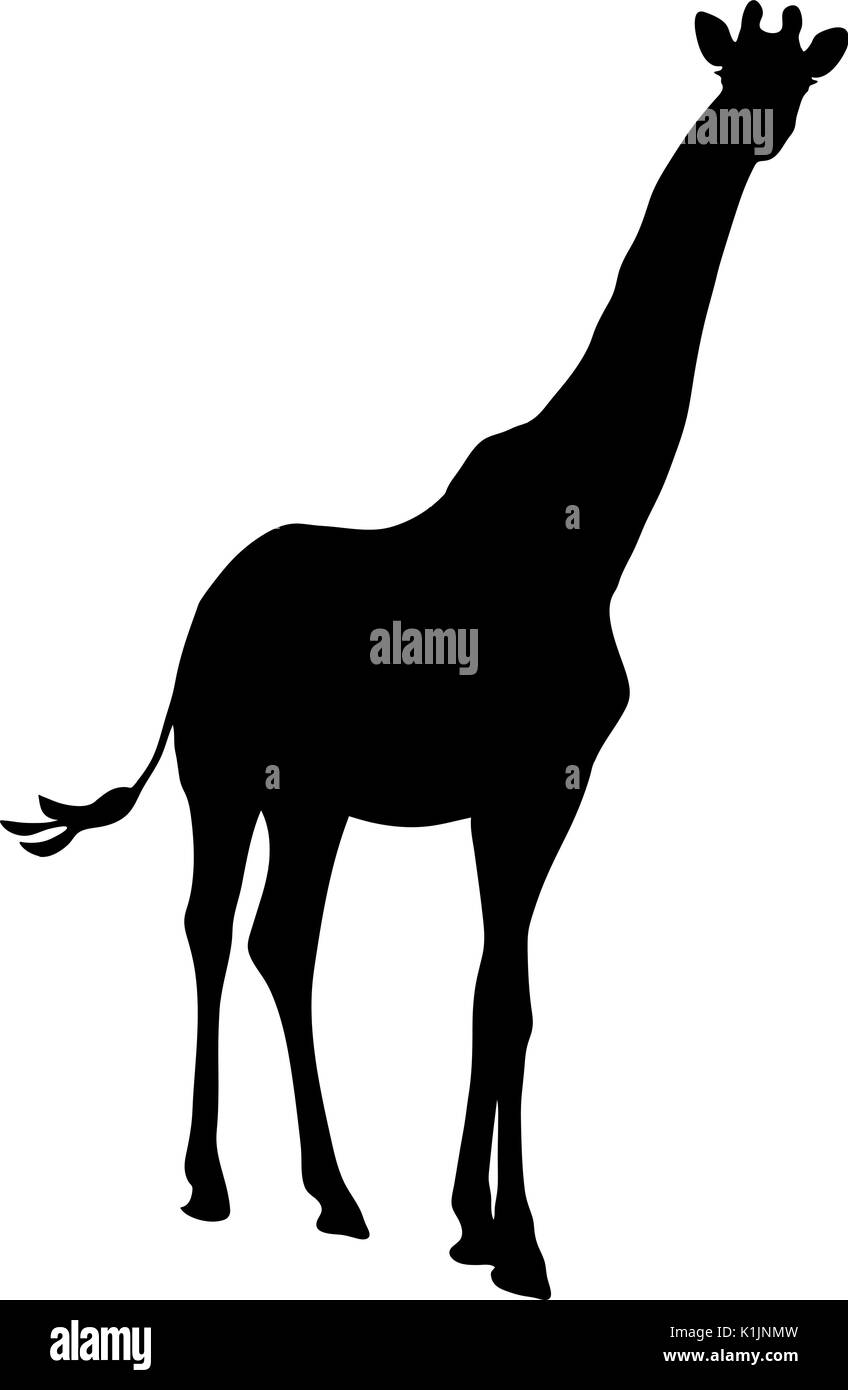 Vista la silhouette di una giraffa Illustrazione Vettoriale