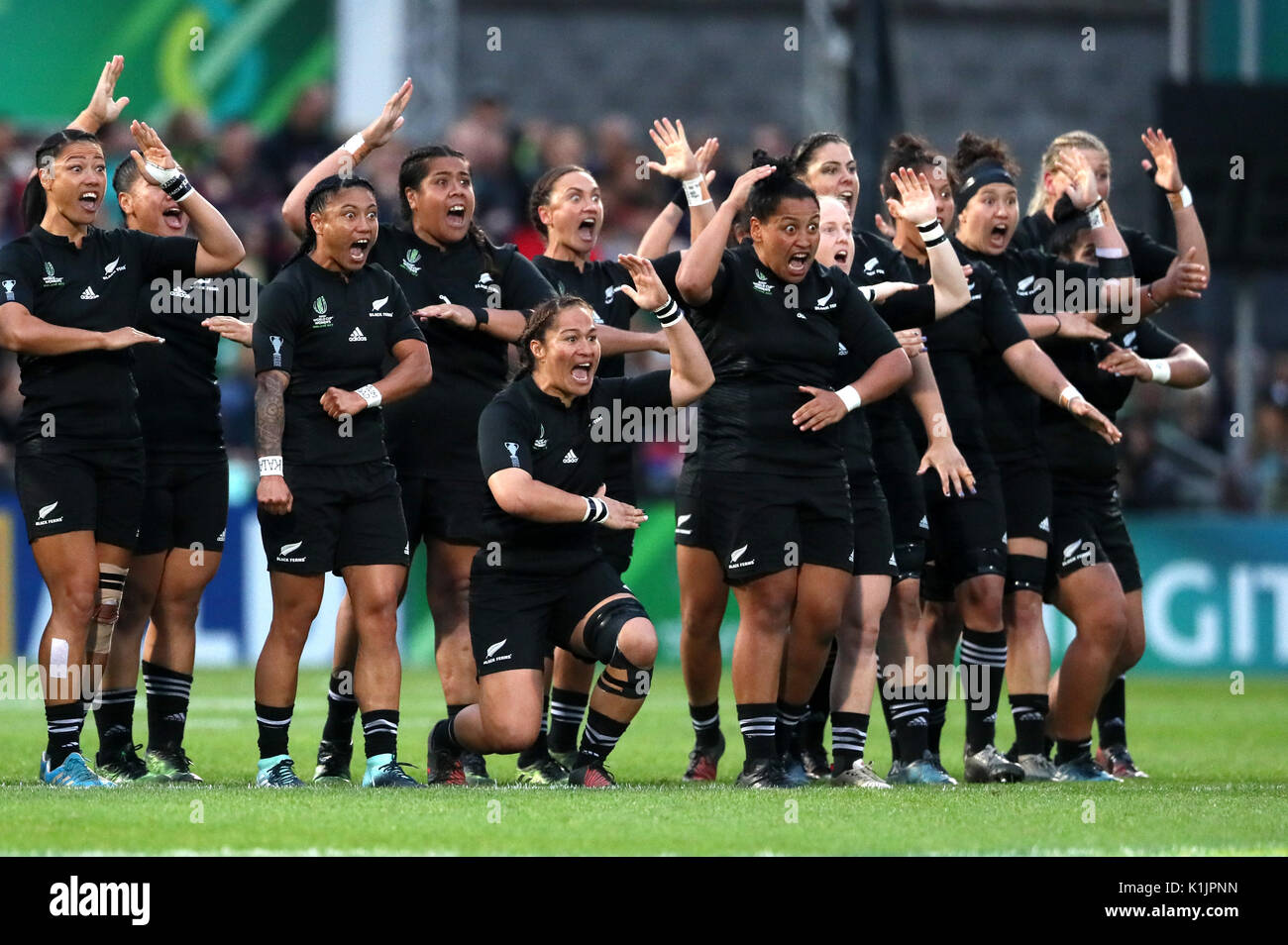 Nuova Zelanda eseguire la Haka durante il 2017 Coppa del Mondo Donne finale  al Kingspan Stadium di Belfast Foto stock - Alamy
