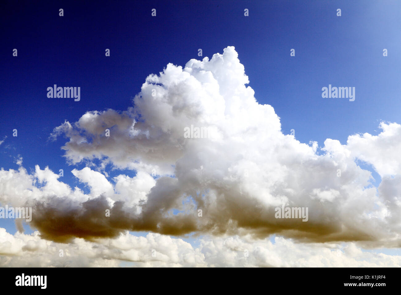 Bianco e scuro cumulous cloud, nuvole, cielo, cieli, cielo blu, meteo, clima, England, Regno Unito Foto Stock
