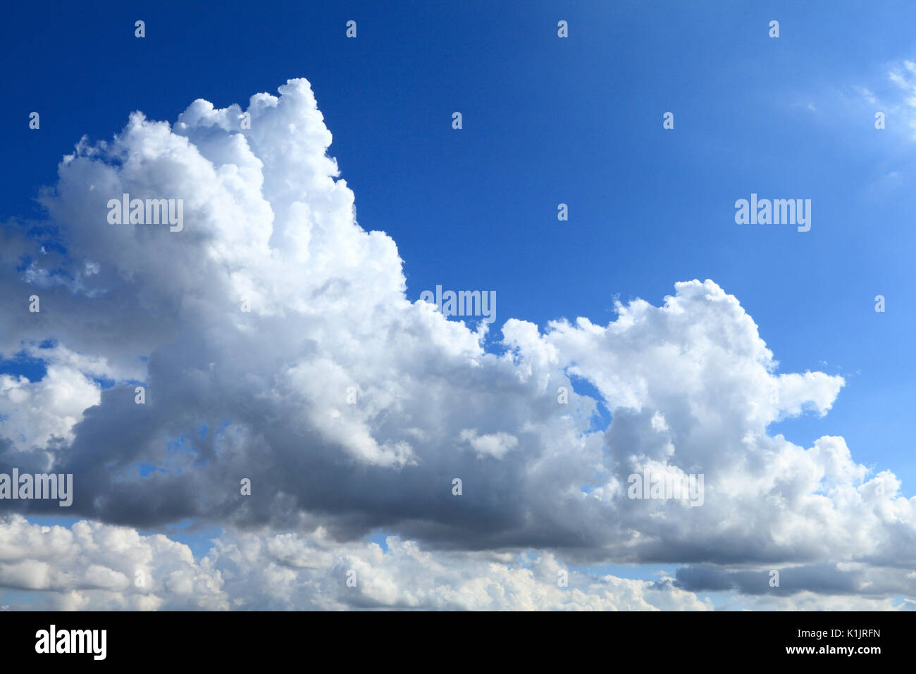 Bianco e scuro cumulous cloud, nuvole, cielo, cieli, cielo blu, meteo, clima, England, Regno Unito Foto Stock