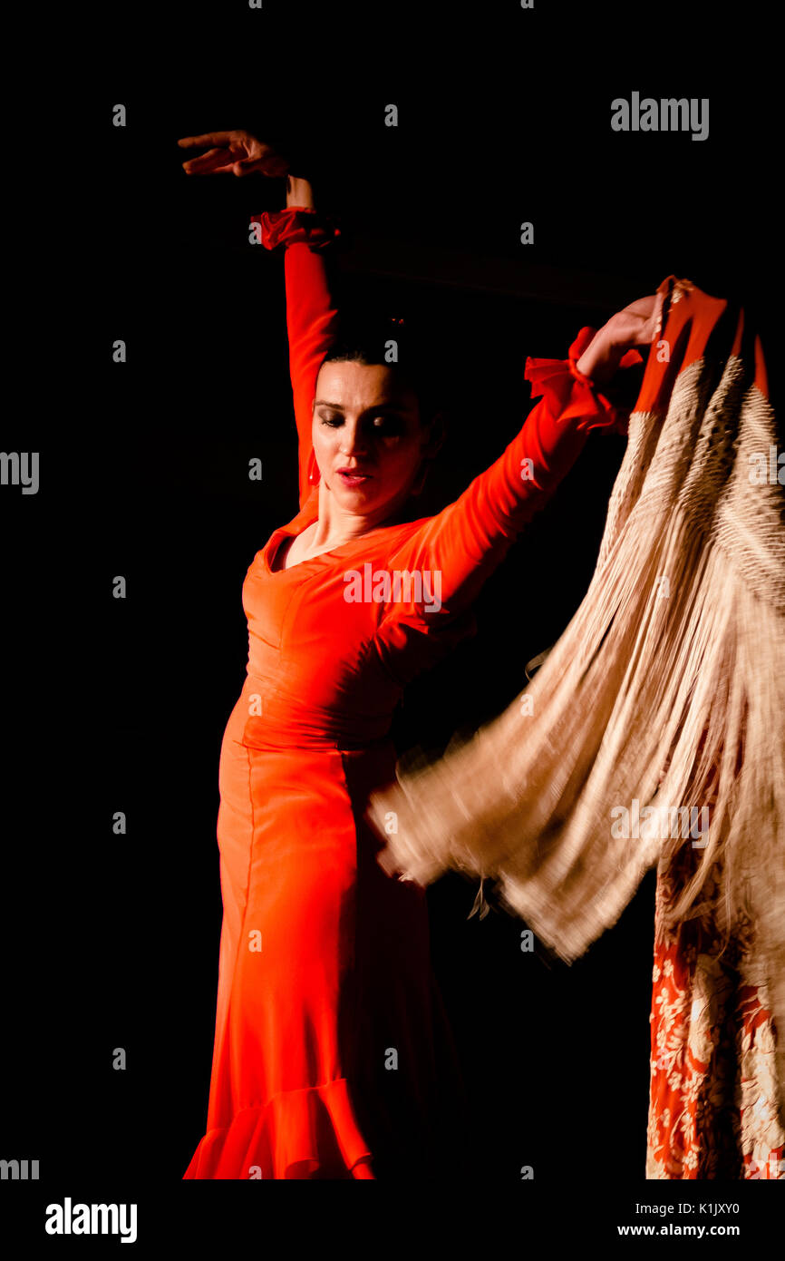 Ballerina di flamenco Foto Stock