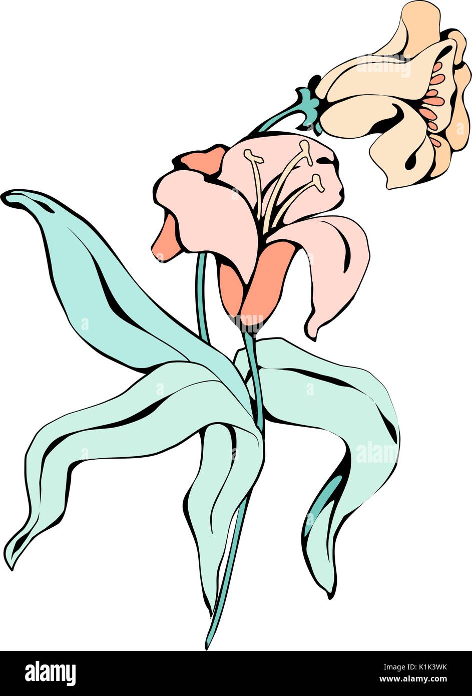 Lily fiori. Vettore di contorno nero con riempimento isolato su sfondo bianco Illustrazione Vettoriale