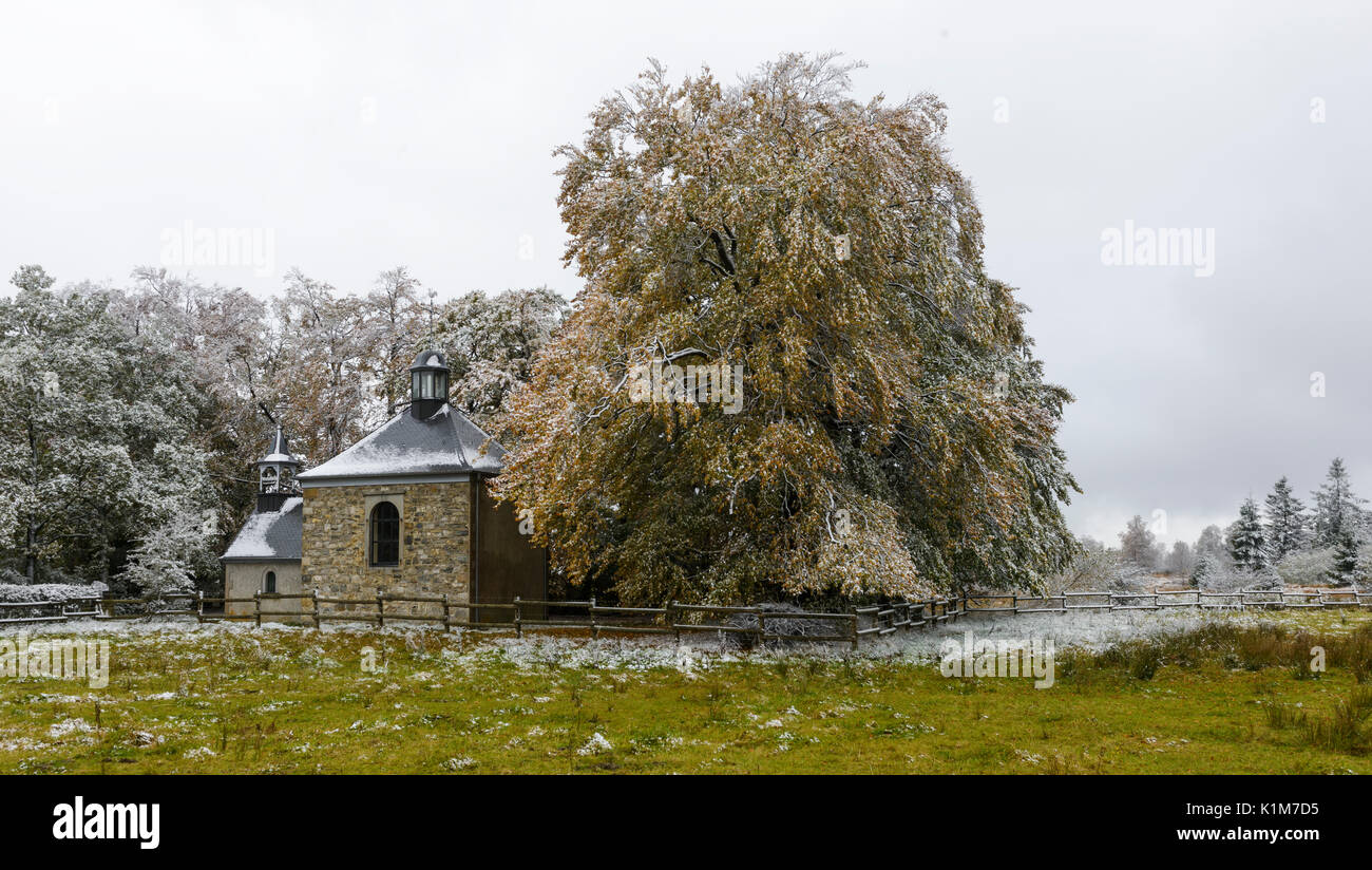 La Chapelle Fischbach, Hohes Venn, le Ardenne, Belgio Foto Stock