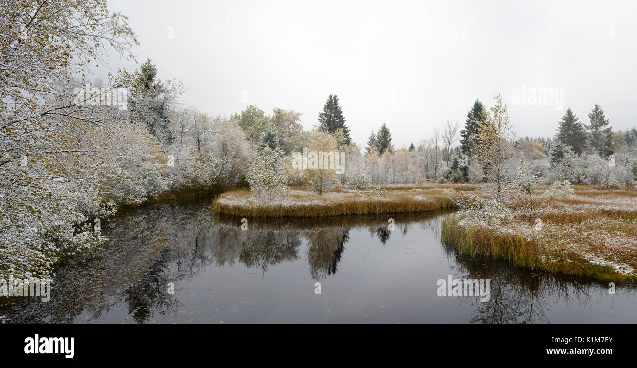 Moor lago vicino Mützenich, Monschau, Hohes Venn, Renania settentrionale-Vestfalia, Germania Foto Stock