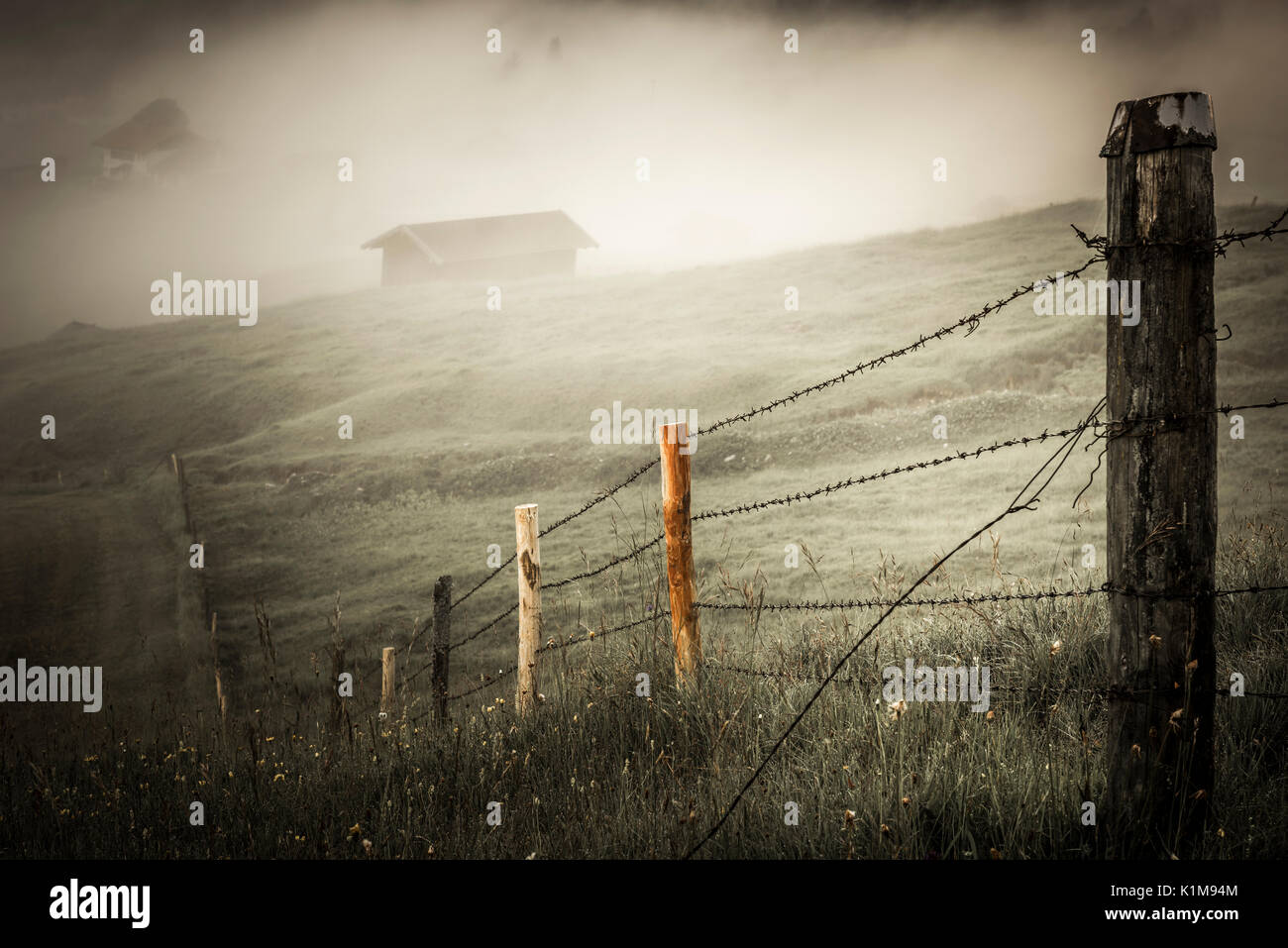 Recinzione di pascolo su prato di montagna con piccola cabina nella nebbia, Fontanefredde, Alta Baviera, Germania Foto Stock