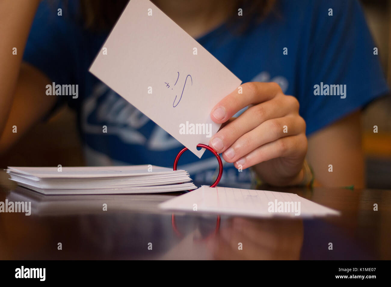 Giovani donne teenage studiando schede Flip Foto Stock