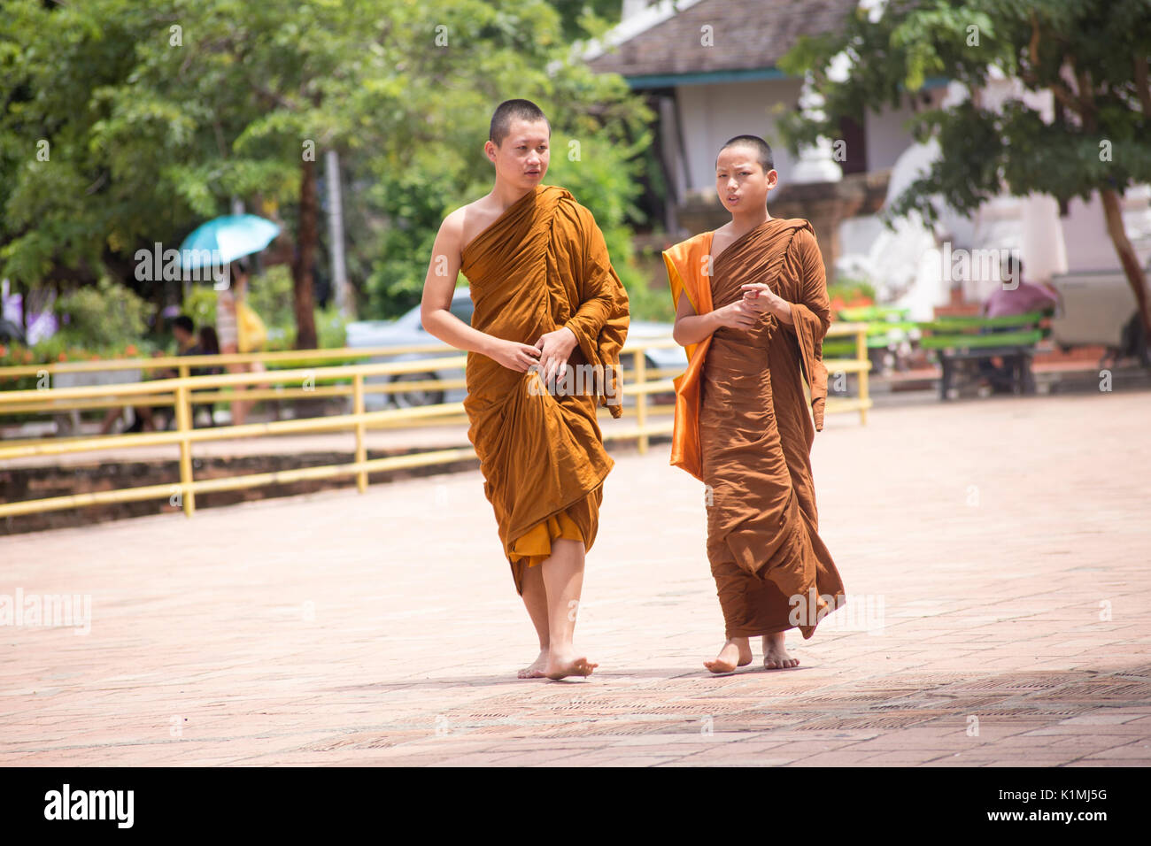 Yo i monaci buddisti in Chiang Mai Foto Stock