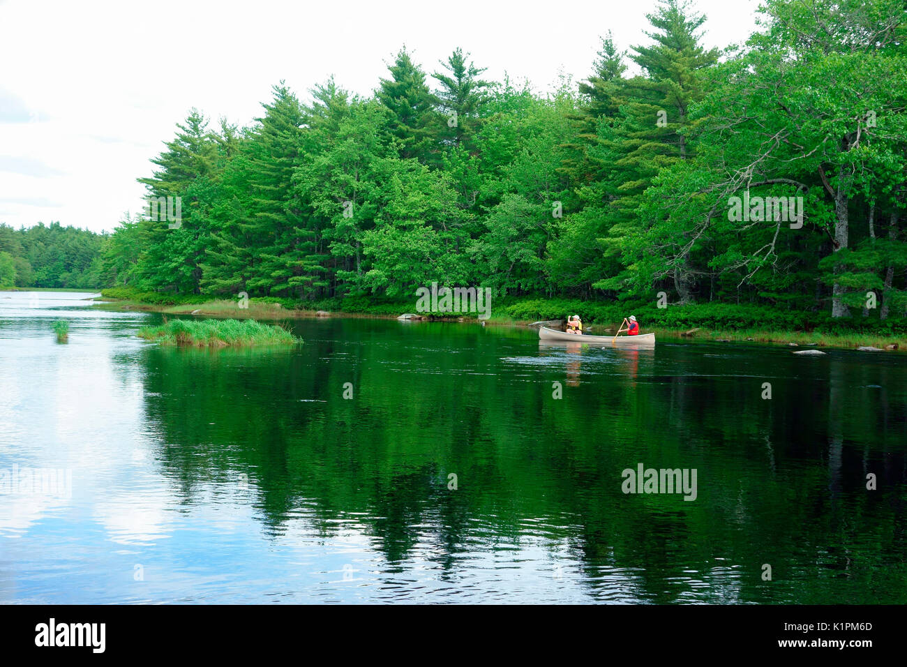Mersey River, kejimkujik national park, Nova Scotia, Canada Foto Stock