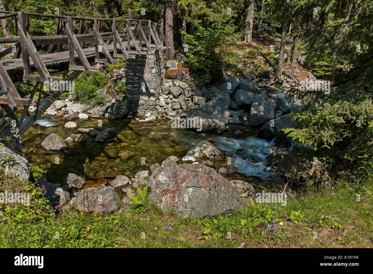 Bellissima vista della foresta di conifere, fiume Iskar e ponte di legno in montagna Rila, Bulgaria, Europa Foto Stock