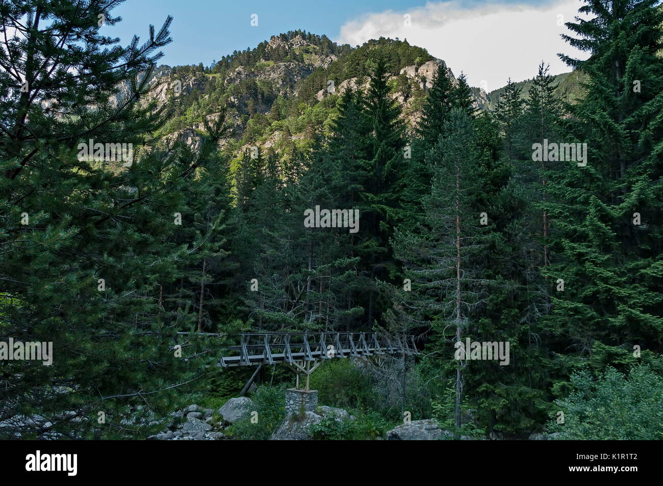 Bellissima vista della foresta di conifere, fiume Iskar e ponte di legno in montagna Rila, Bulgaria, Europa Foto Stock