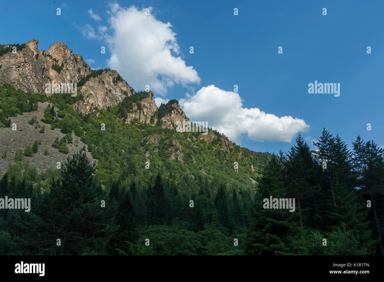 Mountain top di eagle rock ricoperta con la foresta di conifere e glade della montagna Rila, Bulgaria Foto Stock