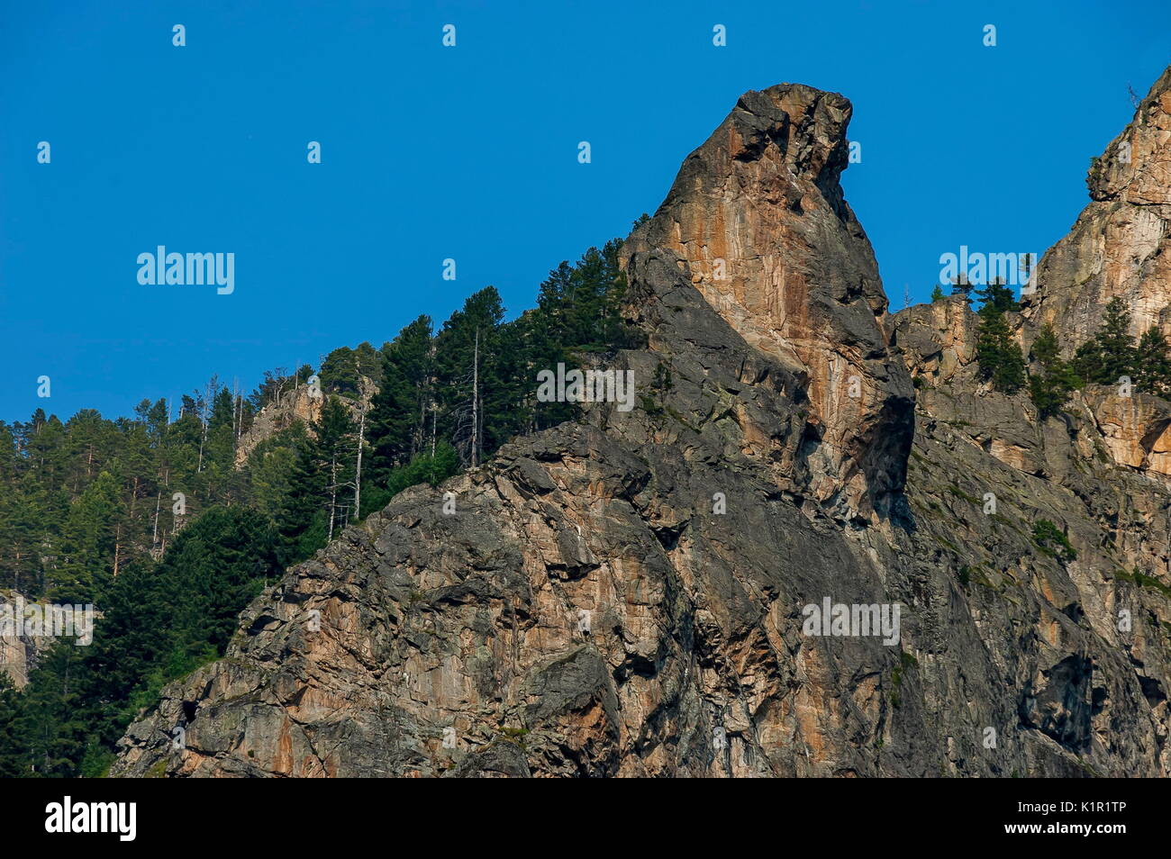 Mountain top di eagle rock ricoperta con la foresta di conifere e glade della montagna Rila, Bulgaria Foto Stock