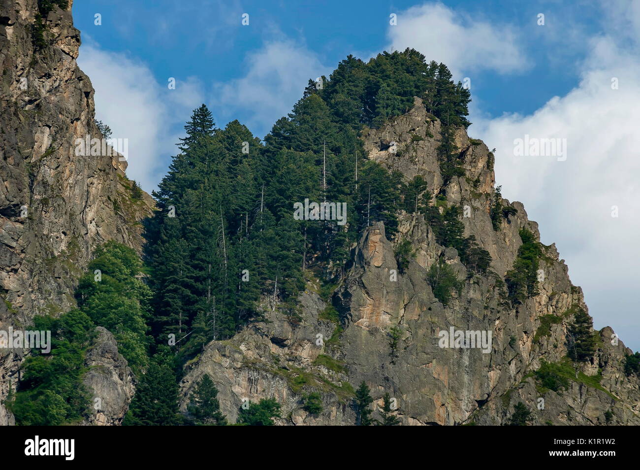 Mountain top di eagle rock ricoperta con la foresta di conifere e glade della montagna Rila, Bulgaria Foto Stock