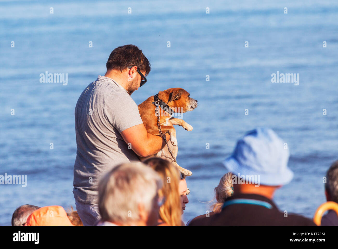 Un uomo porta un cane su una spiaggia affollata, Sidmouth, Devon. Foto Stock