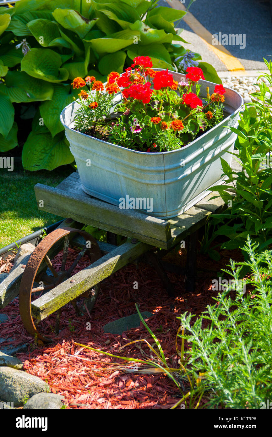 Un colorato la disposizione dei fiori in un home Flower Garden Foto Stock