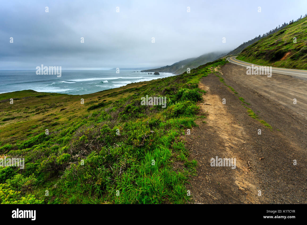 Una vista panoramica della costa della California in una giornata nuvolosa, che mostra le onde dell'Oceano Pacifico che si infrangono contro la costa, una lussureggiante collina verde e una strada tortuosa che abbraccia la costa. Foto Stock