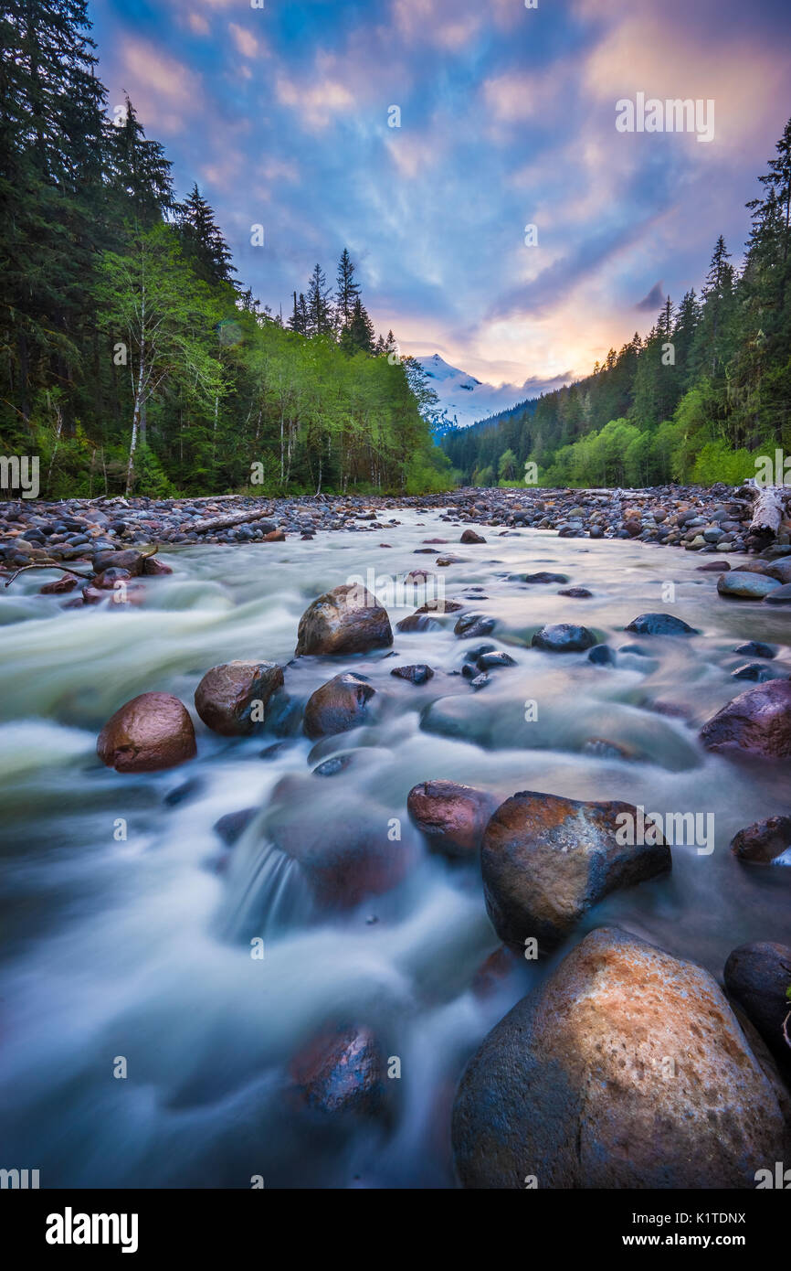 Tramonto su un fiume e Mt Baker, Mount Baker-Snoqualmie foresta nazionale, nello Stato di Washington, USA Foto Stock