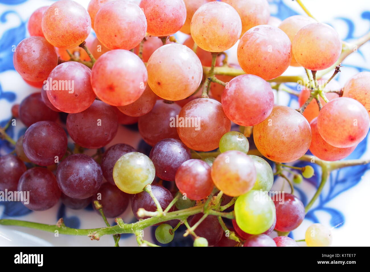 Un mazzetto di rosa uve moscato in bianco e blu in ciotola. Foto Stock