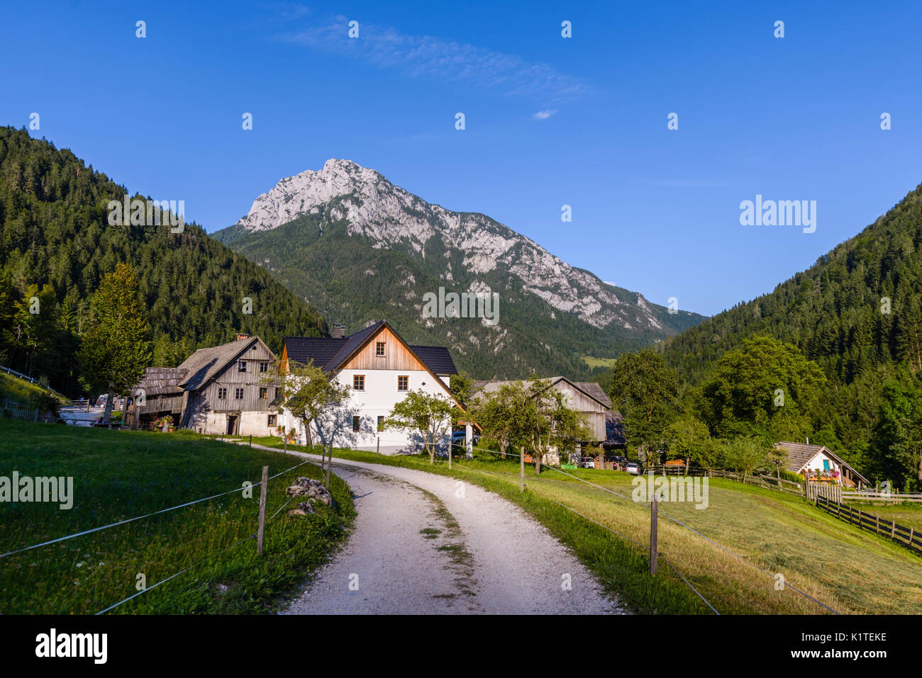Idillico paesaggio delle Alpi, Roban cascina, Slovenia Foto Stock