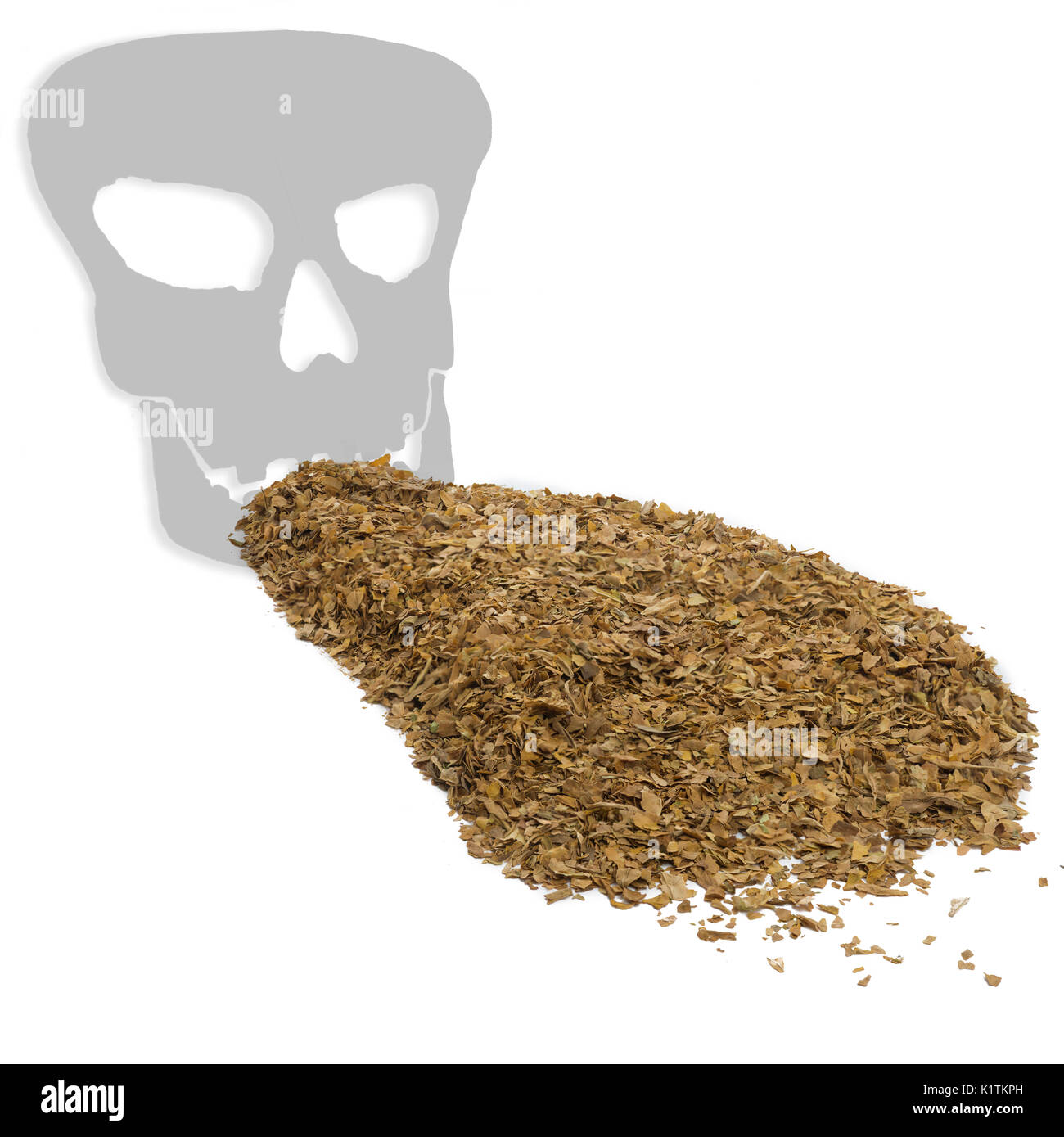 Immagine quadrata ,concetto avvertimento per la salute il fumo uccide mostra non lavorati a secco di foglie di tabacco con un teschio di morte ombra su uno sfondo bianco Foto Stock