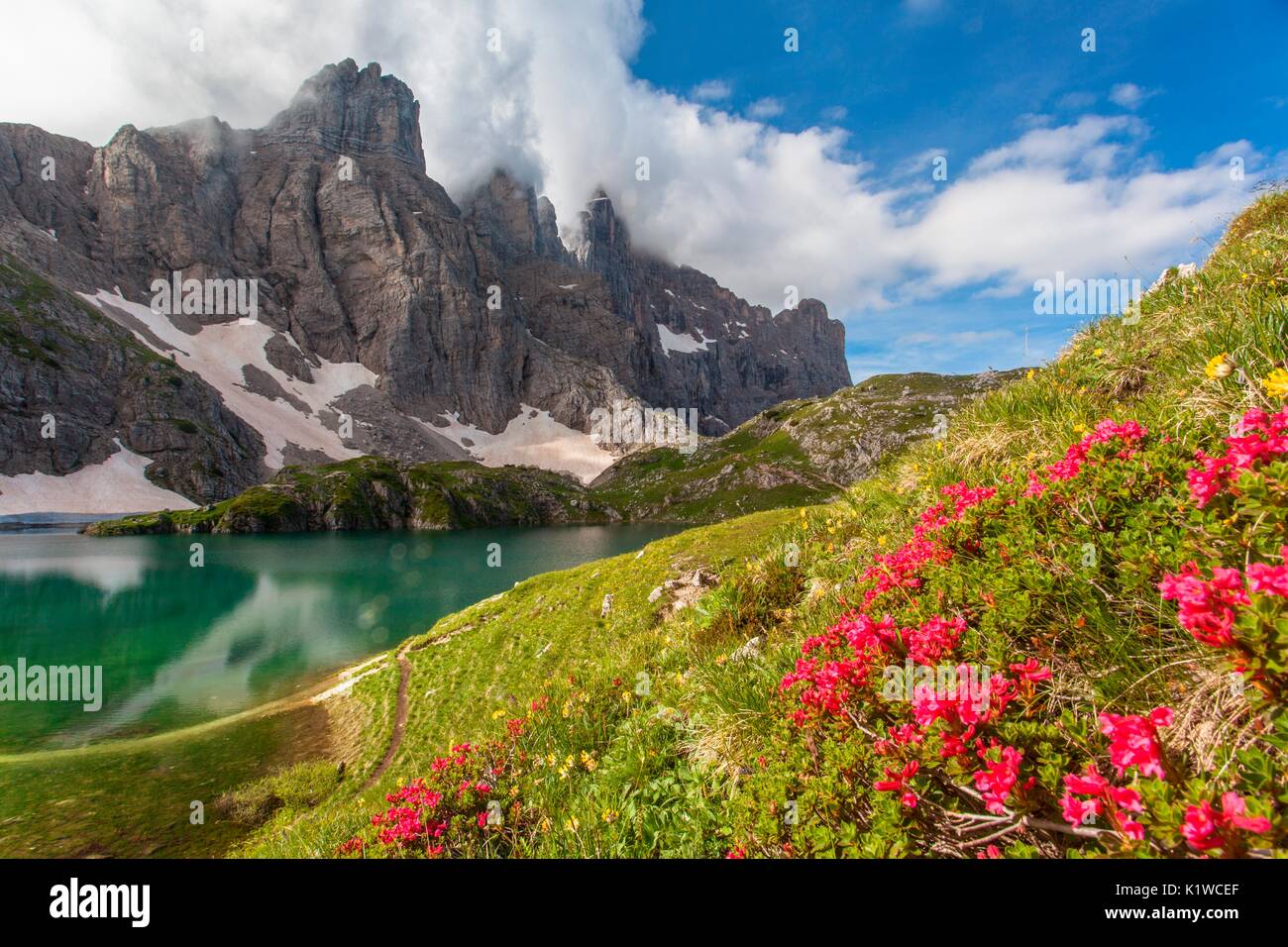 L'Europa, Italia, Veneto, Belluno. Il vicino Lago Coldai, panorama sul Civetta con una fioritura dei rododendri in primo piano. Dolomiti, Civetta g Foto Stock