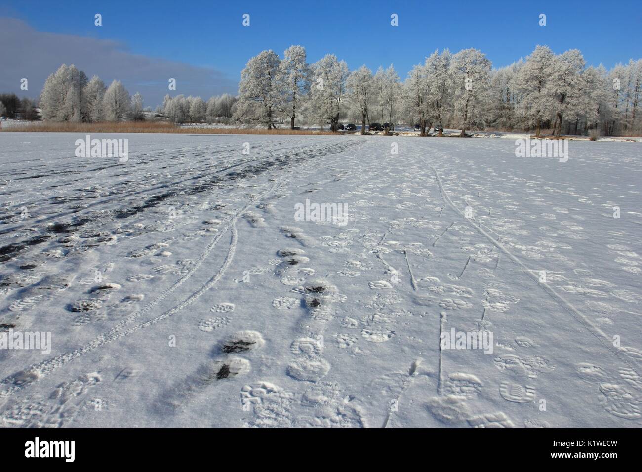 Tracce sul lago ghiacciato, paesaggio invernale Foto Stock