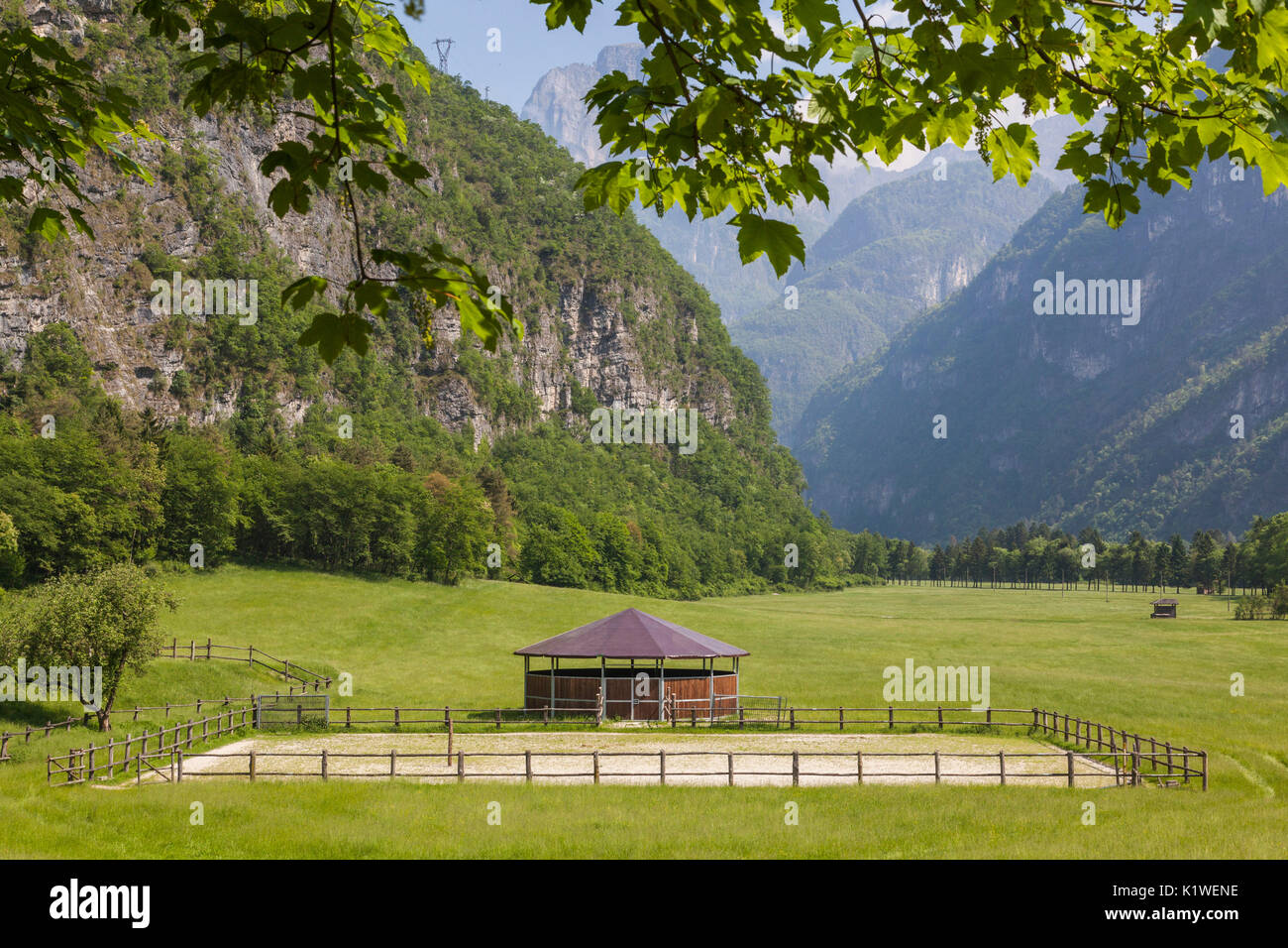 Area dedicata alla formazione di cavalli maremmani allevati nel centro di selezione equestre in caso Salet, Sedico, Parco Nazionale Dolomiti Bellunesi Foto Stock